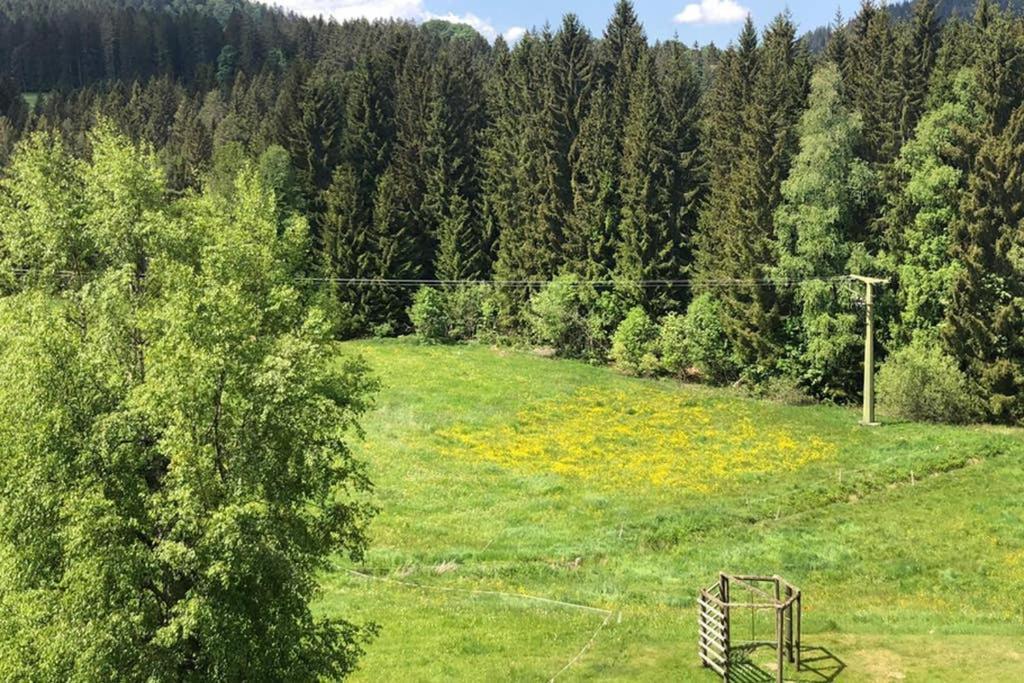 Ferienwohnung Schwarzwald Hinterzarten Extérieur photo