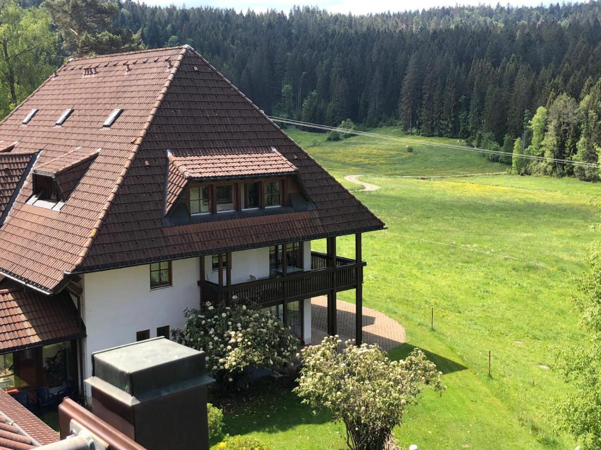 Ferienwohnung Schwarzwald Hinterzarten Extérieur photo